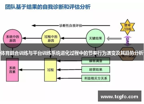 体育组合训练与平台训练系统进化过程中的节奏行为演变及其趋势分析