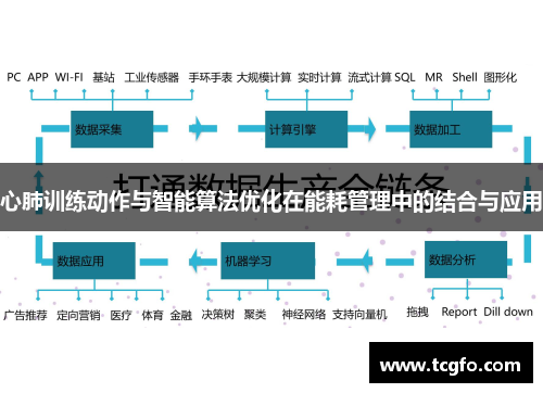 心肺训练动作与智能算法优化在能耗管理中的结合与应用